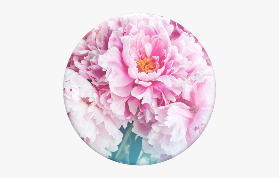 Clip Art Popsockets Popgrip - Background Peony, Transparent Clipart