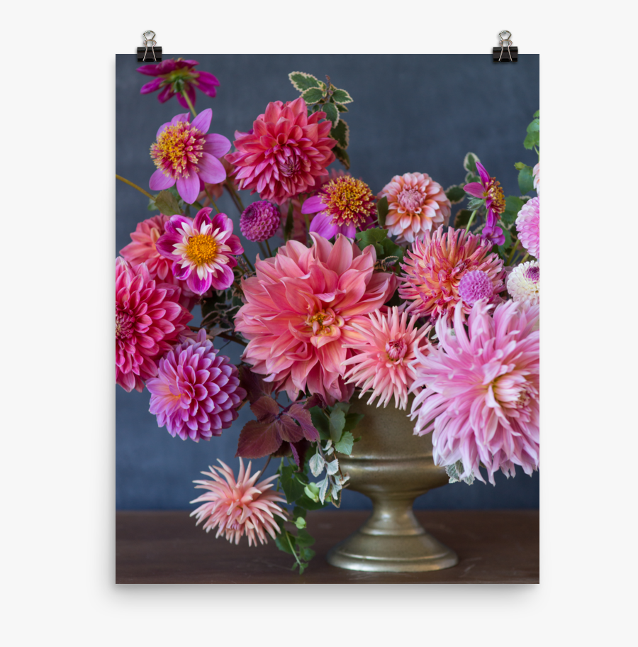 Transparent Pink Curtain Png - Chrysanths, Transparent Clipart