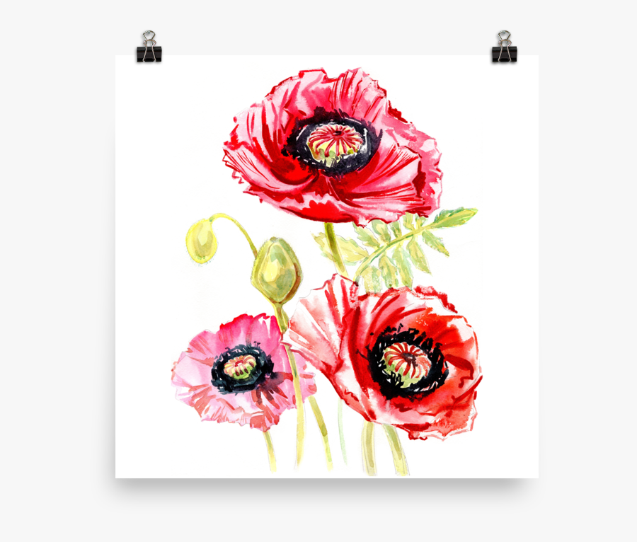 Clip Art Bright Poster - Oriental Poppy, Transparent Clipart