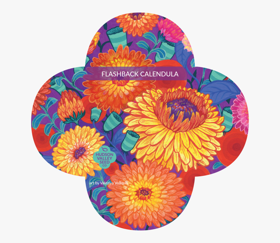 Flashback Calendula Mix Seed - Zinnia, Transparent Clipart