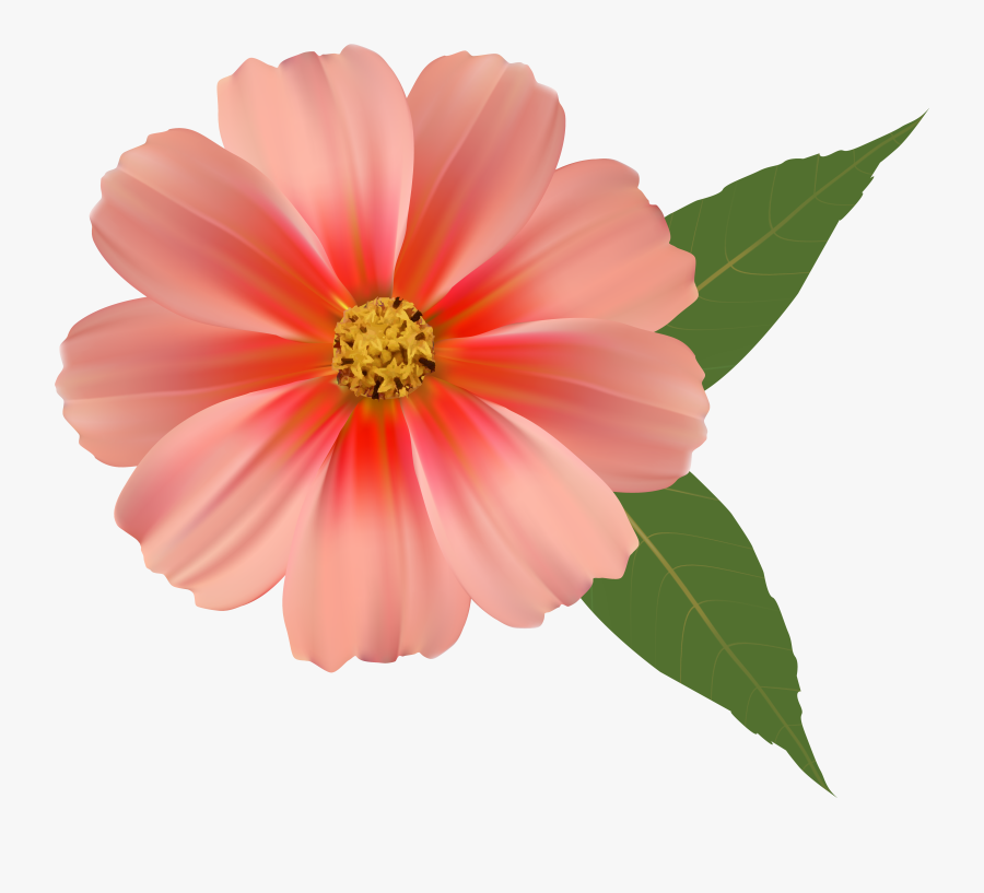 Clip Art Single Flower Png - Transparent Background Flower Png, Transparent Clipart