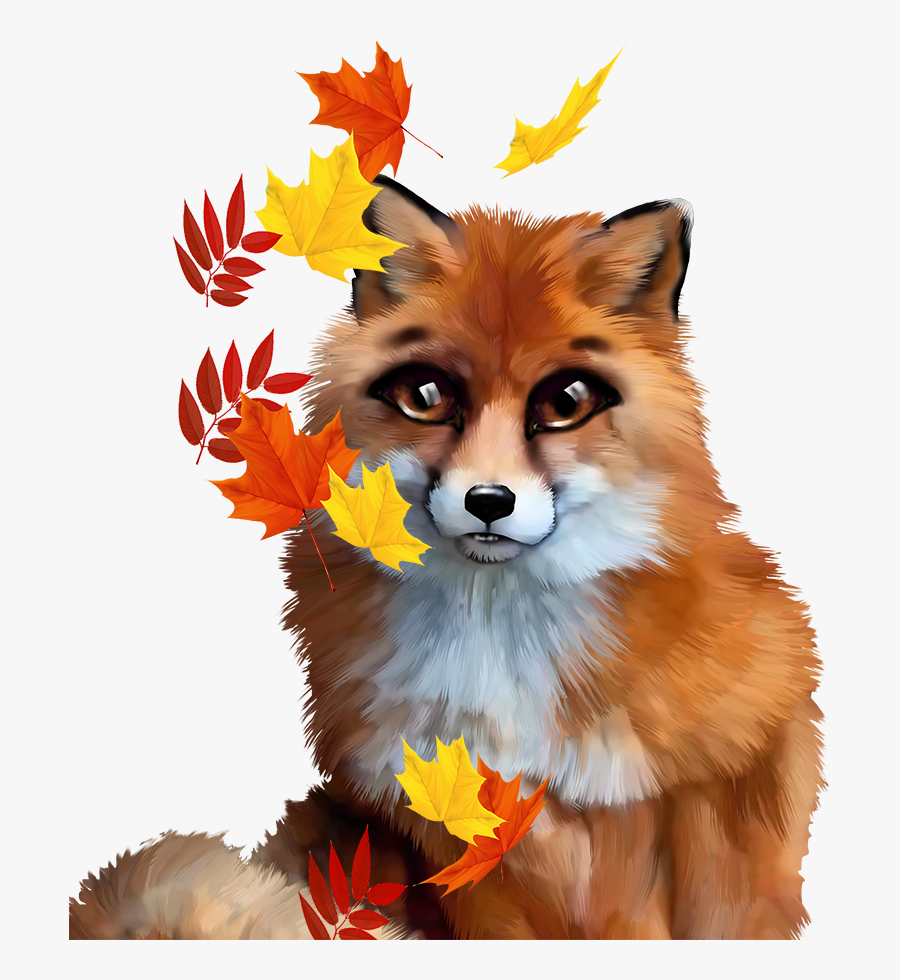 Red Fox, Transparent Clipart