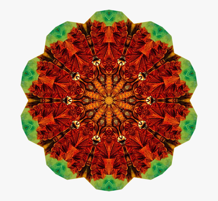 Circle, Transparent Clipart