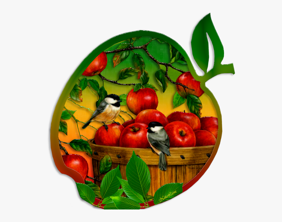 Tube Fruit - Apple Feast Of The Saviour, Transparent Clipart