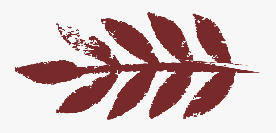 Graphic Design, Transparent Clipart