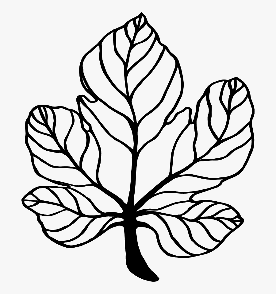 Line Art, Transparent Clipart