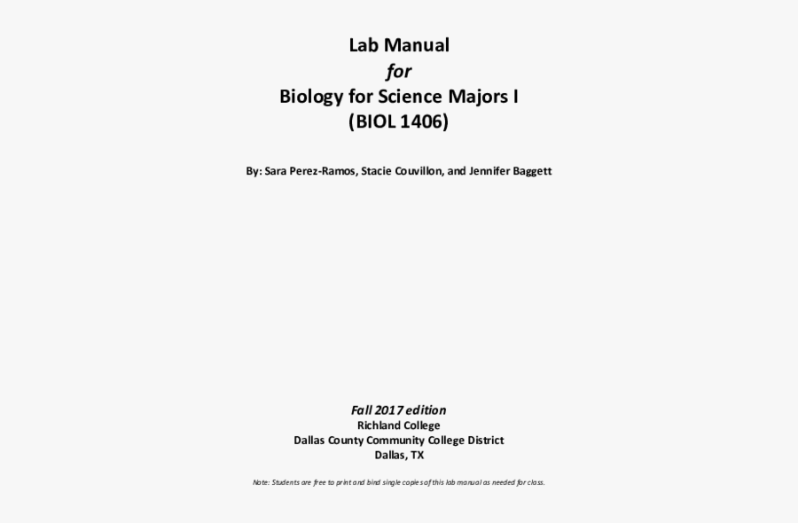 Document, Transparent Clipart