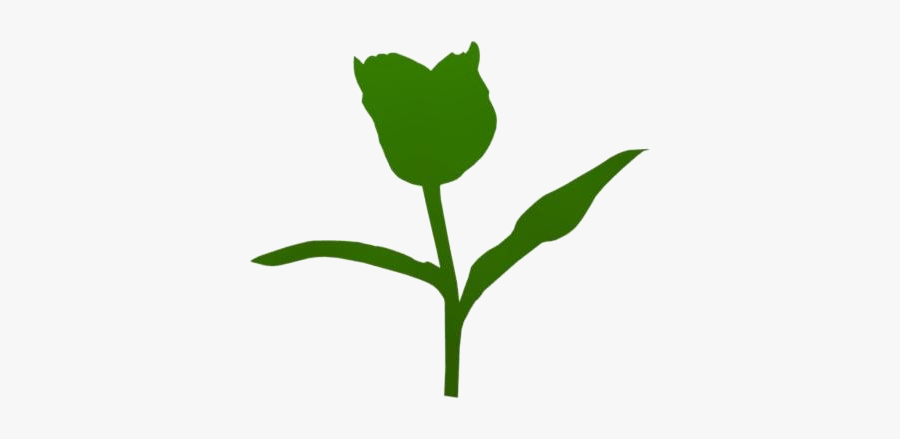 Transparent Single Tulip Clipart, Single Tulip Png - Lily, Transparent Clipart