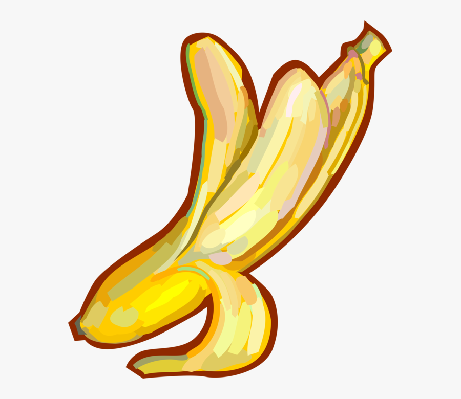 Vector Illustration Of Peeled Banana Edible Fruit - Descascada Banana Png, Transparent Clipart