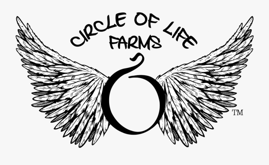 Circle Of Life Farms 😀 - Only God Can Judge Me Wings Tattoo, Transparent Clipart