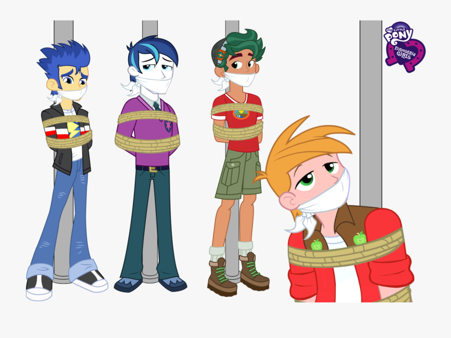 Alumnus Shining Armor, Artist - Shining Armor And Flash Sentry, Transparent Clipart