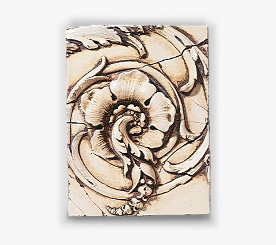 Forgot Password - Volute - Volute, Transparent Clipart