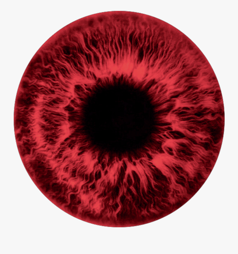 Red Eye Png - Pierre Yovanovitch Book Rizzoli, Transparent Clipart