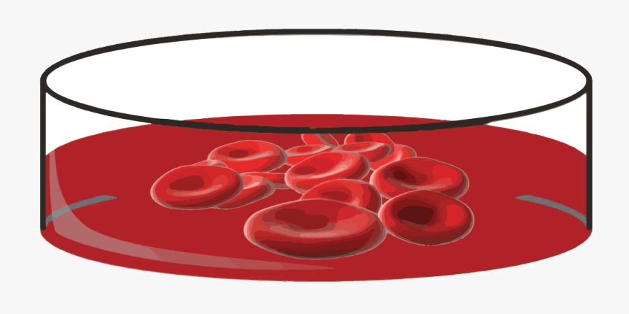 Woolly Mammoth Project Update - Serveware, Transparent Clipart