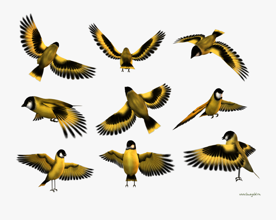 Atlanta Falcons Logo Transparent - Flock, Transparent Clipart