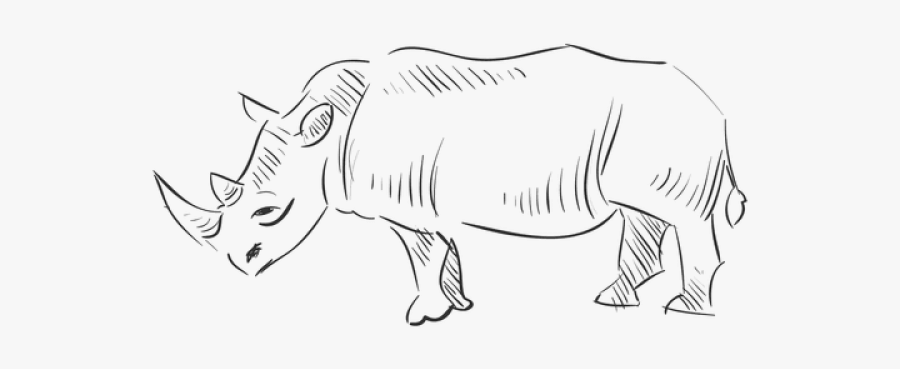 Black Rhinoceros, Transparent Clipart