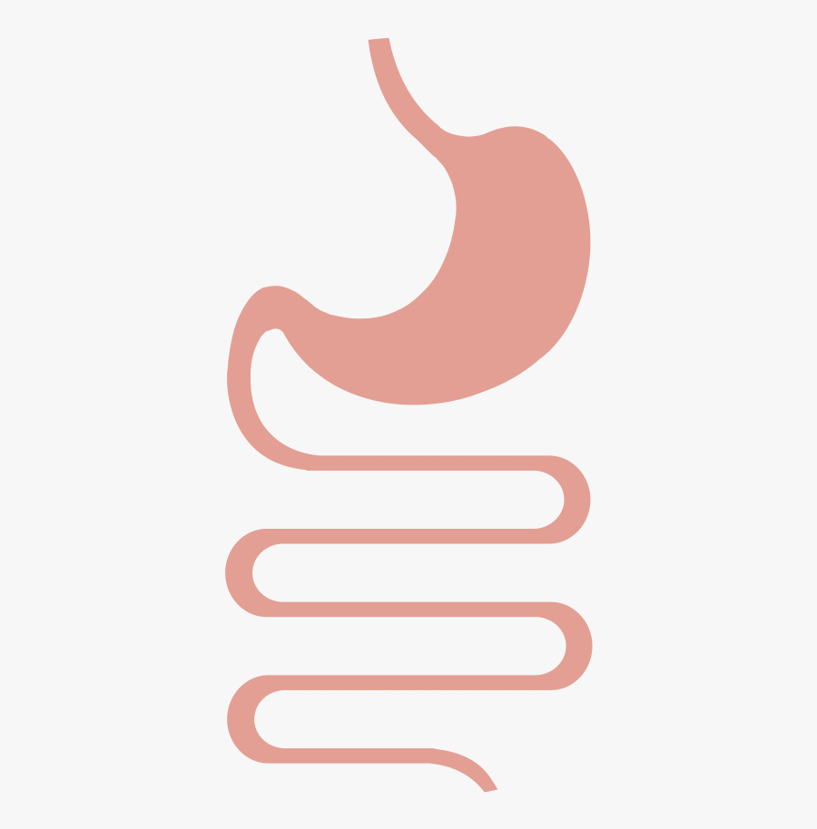 Gut Health Nutritionist Deepa, Transparent Clipart