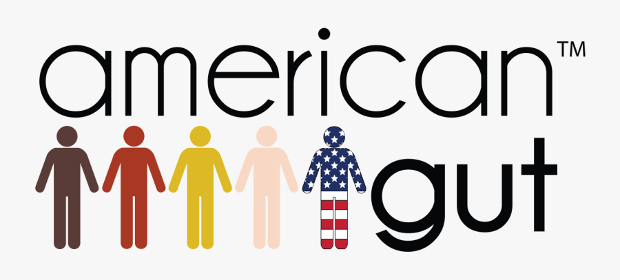 American Gut Overview - American Gut, Transparent Clipart