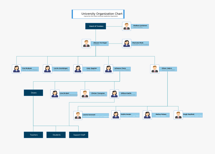 A Hierarchy Of An - University Organizational Chart Sample, Transparent Clipart