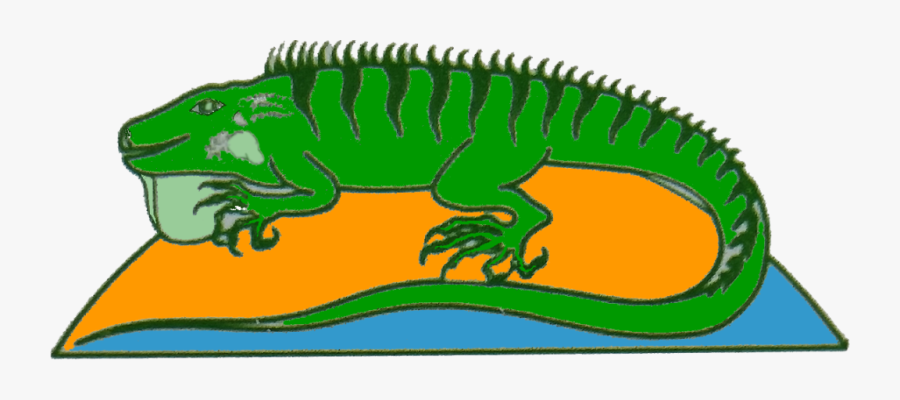 Crocodile, Transparent Clipart