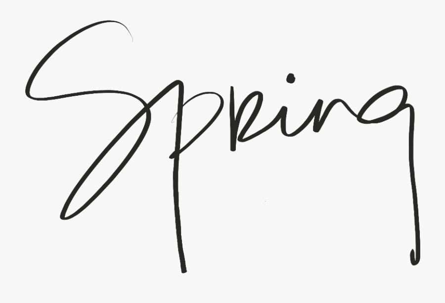 List Of What I"m Handling Well - Calligraphy, Transparent Clipart