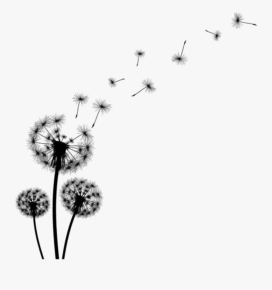 Dandelion Black And White Clipart , Png Download - Black And Grey Dandelion, Transparent Clipart