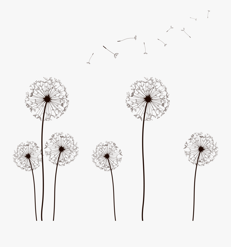 Vector Dandelion Vector 02 By Dragonart Festival Beach, Transparent Clipart