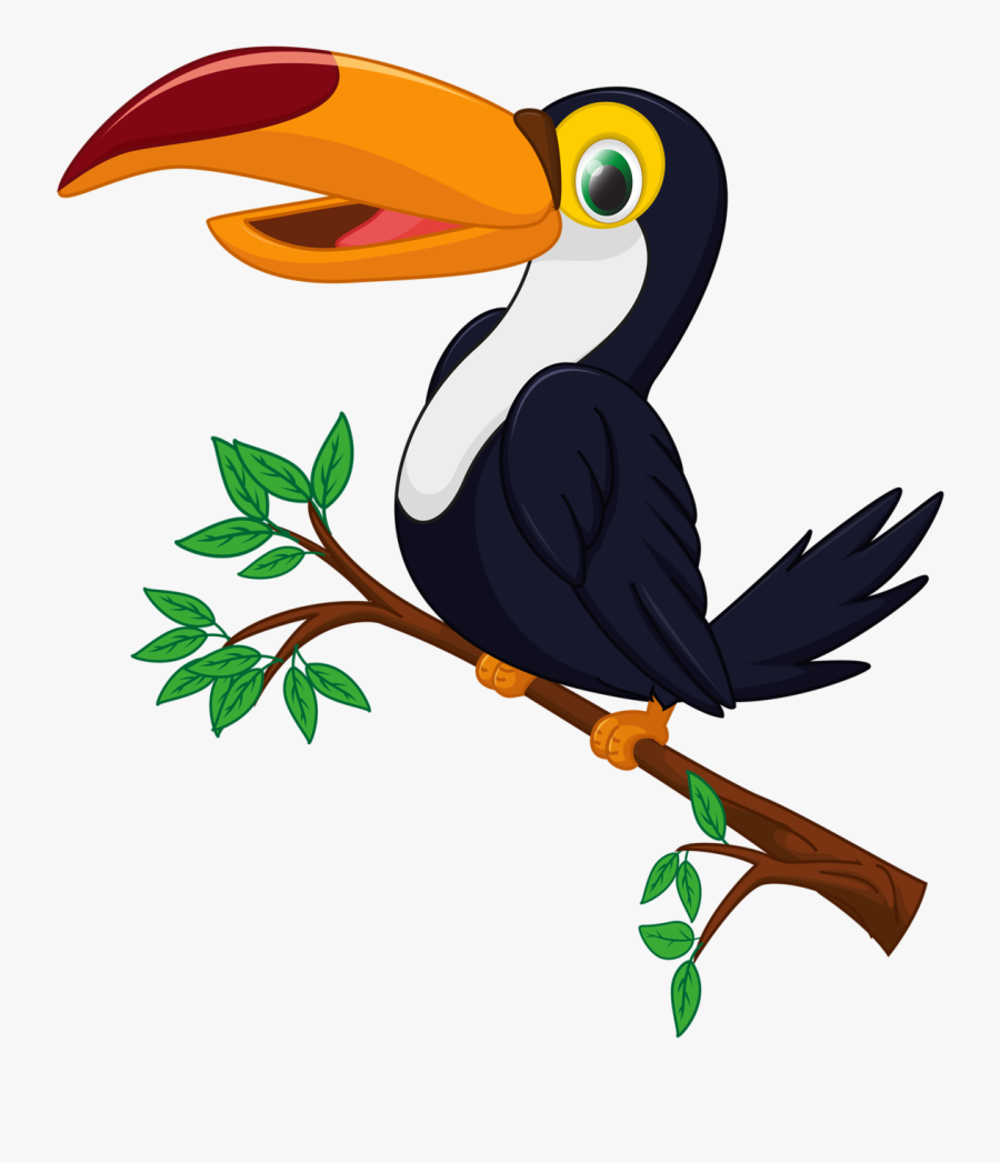 Toucan Cartoon, Transparent Clipart