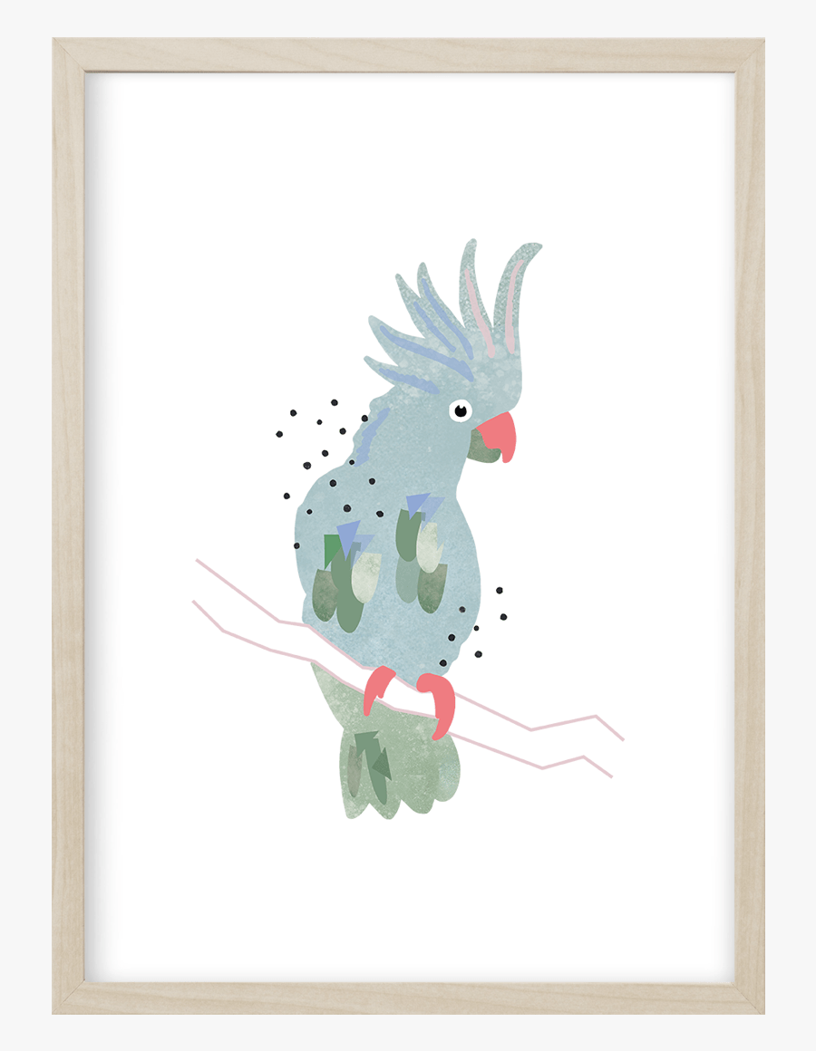 Poster Spring Kakadu, Kunstdruck Mit Vogel Bunt - Kakadu, Transparent Clipart