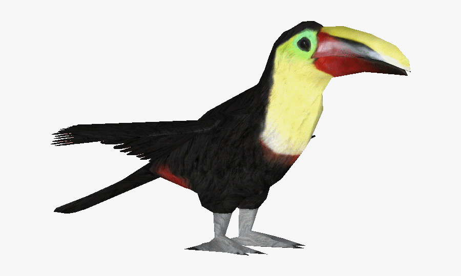 Toucan, Transparent Clipart