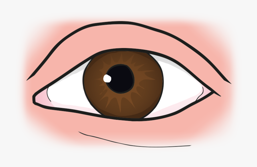Eye - Cartoon, Transparent Clipart