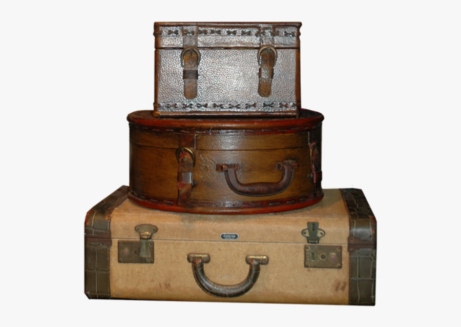 Trunk, Transparent Clipart