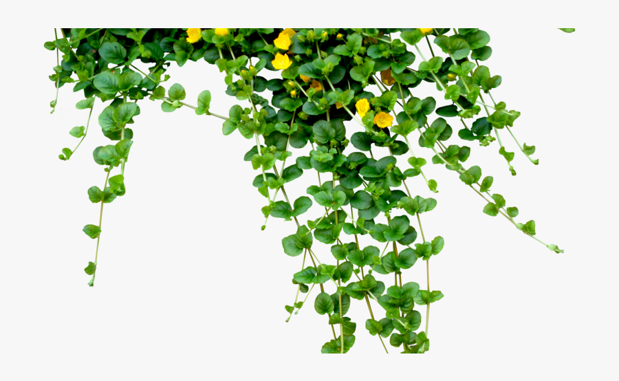 Teachers Day Quotes In Telugu, Transparent Clipart