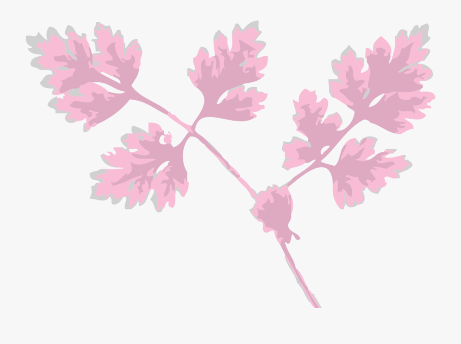 Pink,plant,flower - Folhas Rosa Png, Transparent Clipart