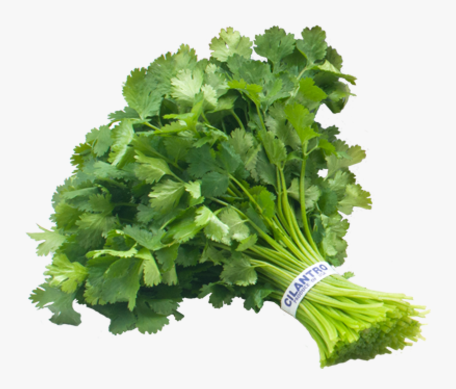 Clip Art Trader Joe S Boskovich - Bunch Of Cilantro, Transparent Clipart