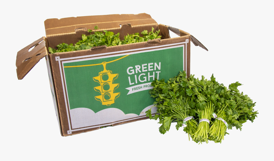 Transparent Parsley Png - Parsley, Transparent Clipart