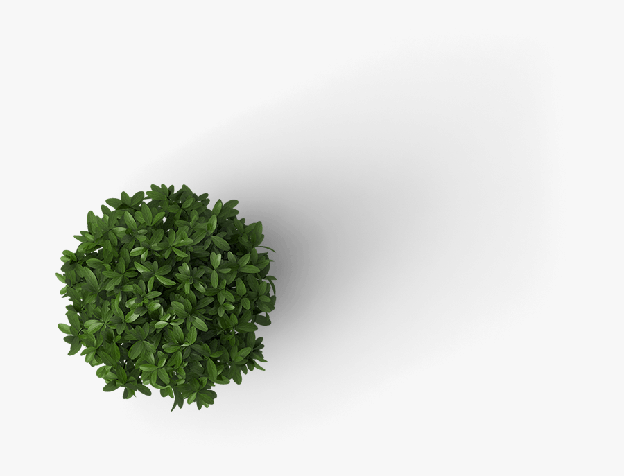 Transparent Clipart Docteur Gratuit - Parsley, Transparent Clipart