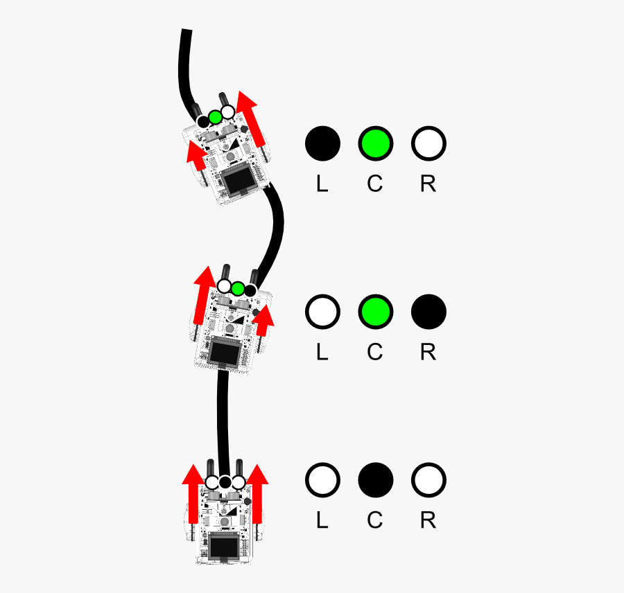 Circle, Transparent Clipart