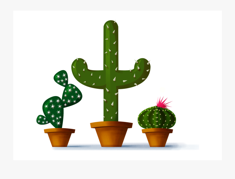 Draw A Cactus In Photoshop, Transparent Clipart