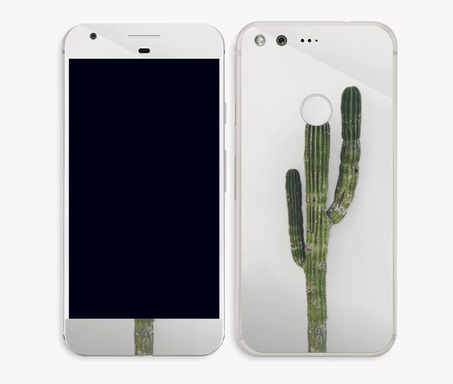 Mexican Cactus Png - Hedgehog Cactus, Transparent Clipart