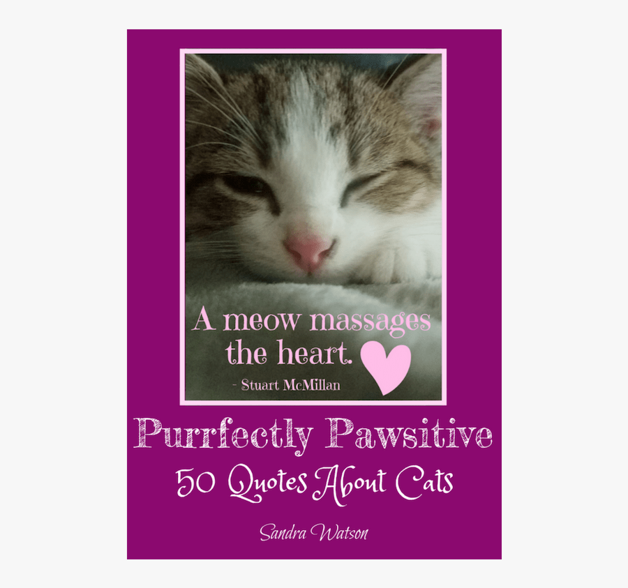Png Cat Quotes - Cat, Transparent Clipart