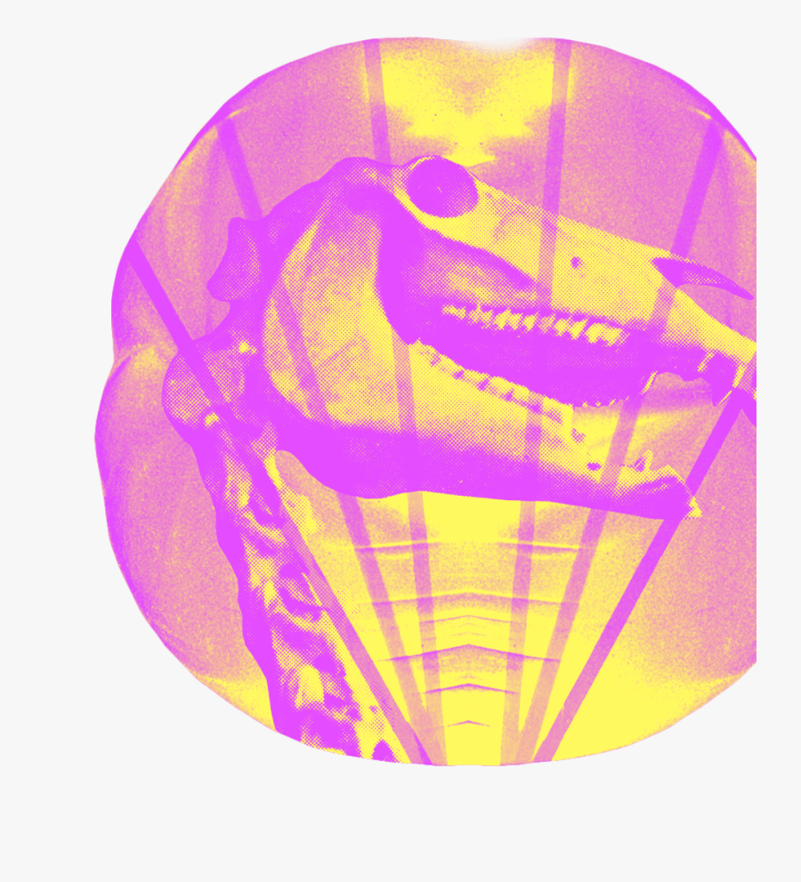 Graphic Design, Transparent Clipart