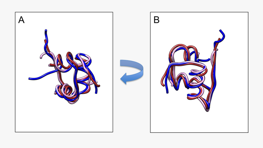Graphic Design, Transparent Clipart
