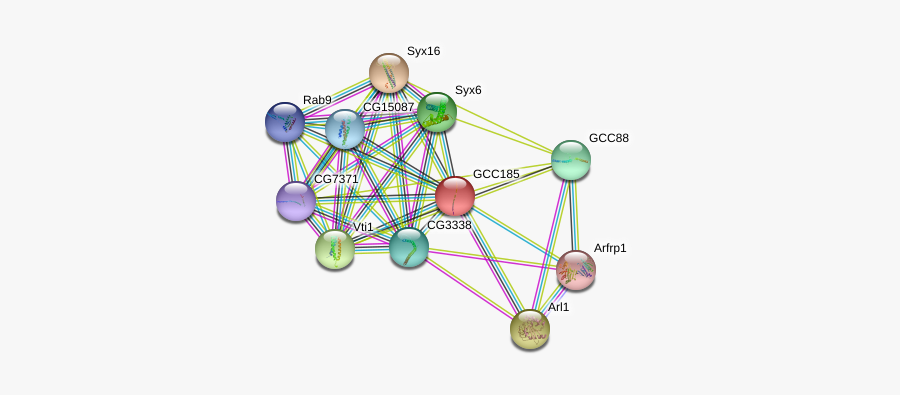 Gcc185 Protein - Circle, Transparent Clipart