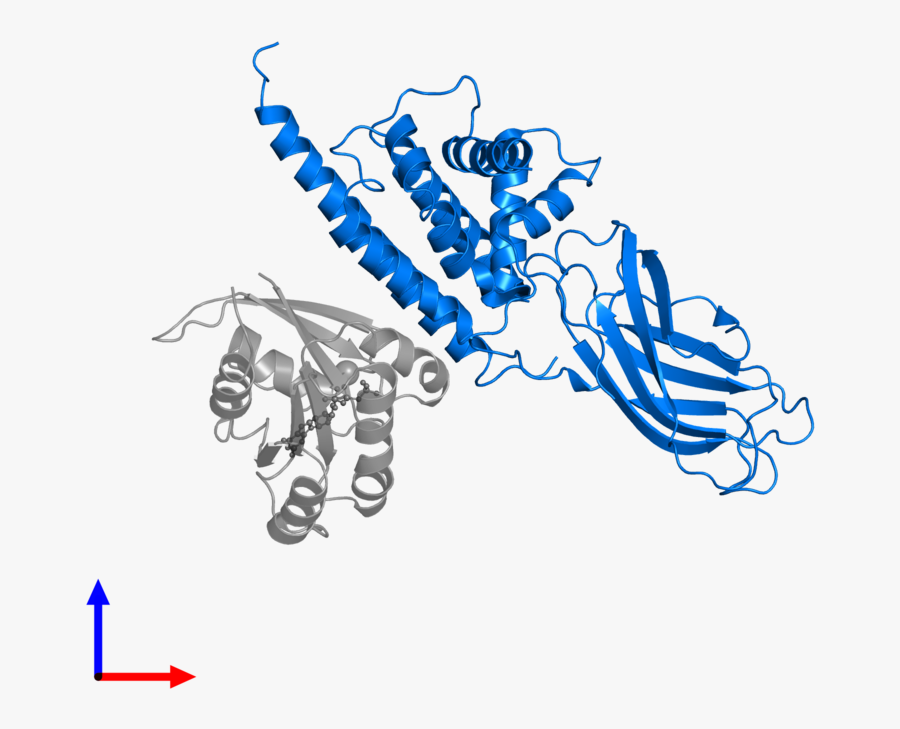Graphic Design, Transparent Clipart
