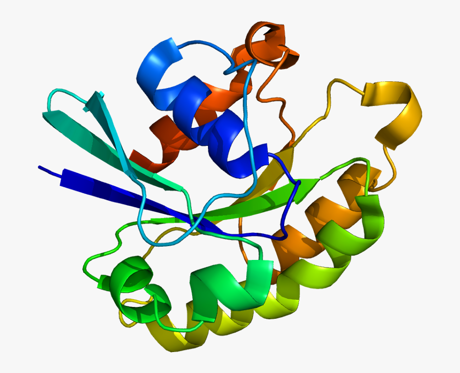 Protein Rab33b Pdb 1z06, Transparent Clipart
