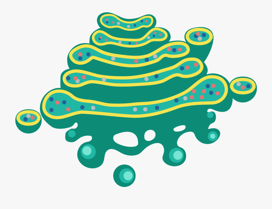 Eukaryote Sticker Transparent, Transparent Clipart