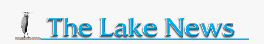 Graphic Design, Transparent Clipart