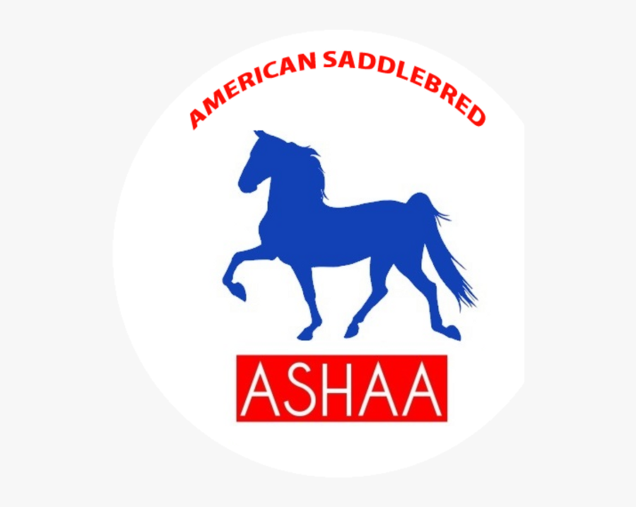 Stallion, Transparent Clipart