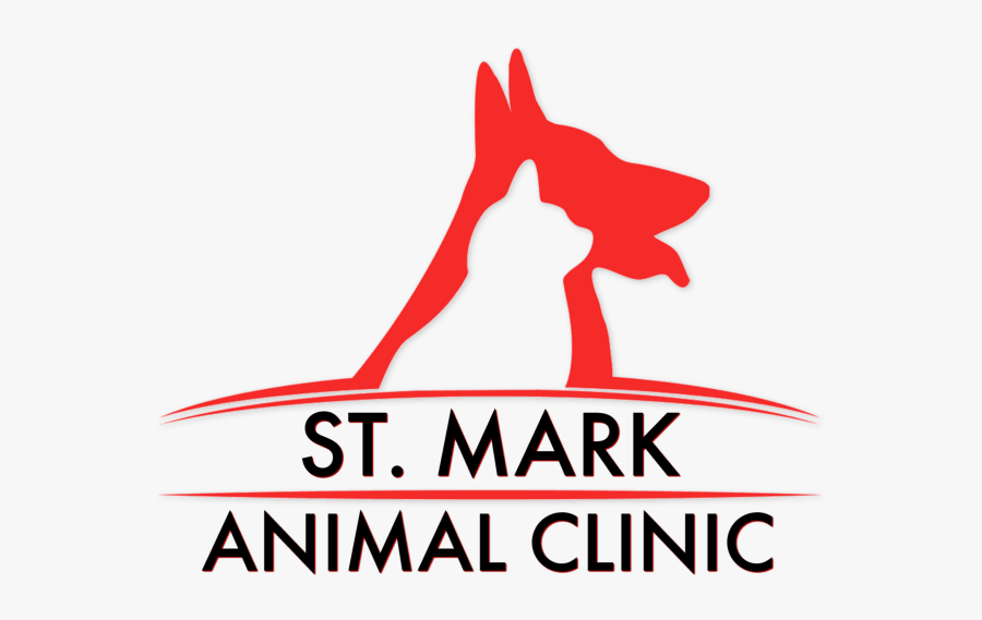 Cat, Transparent Clipart